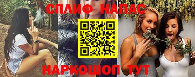 ешки Будённовск