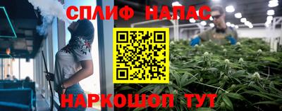 ешки Будённовск