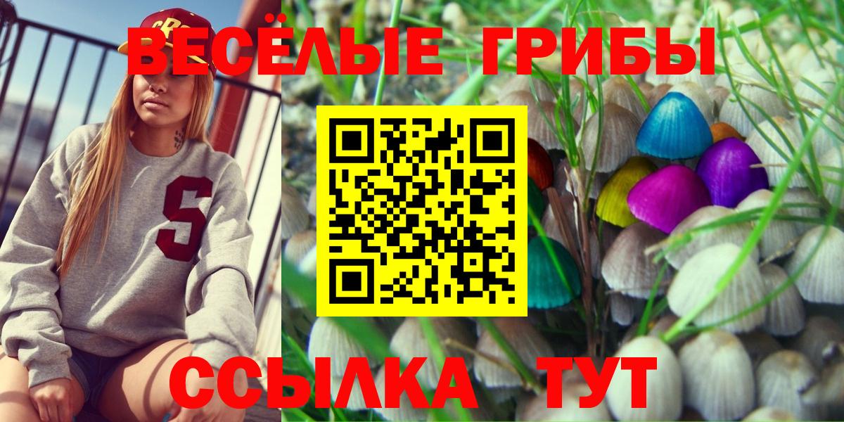 Реж  Галлюциногенные грибы Cubensis  Вход с VPN 